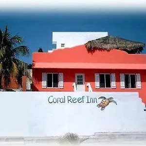 Coral Reef Cozumel